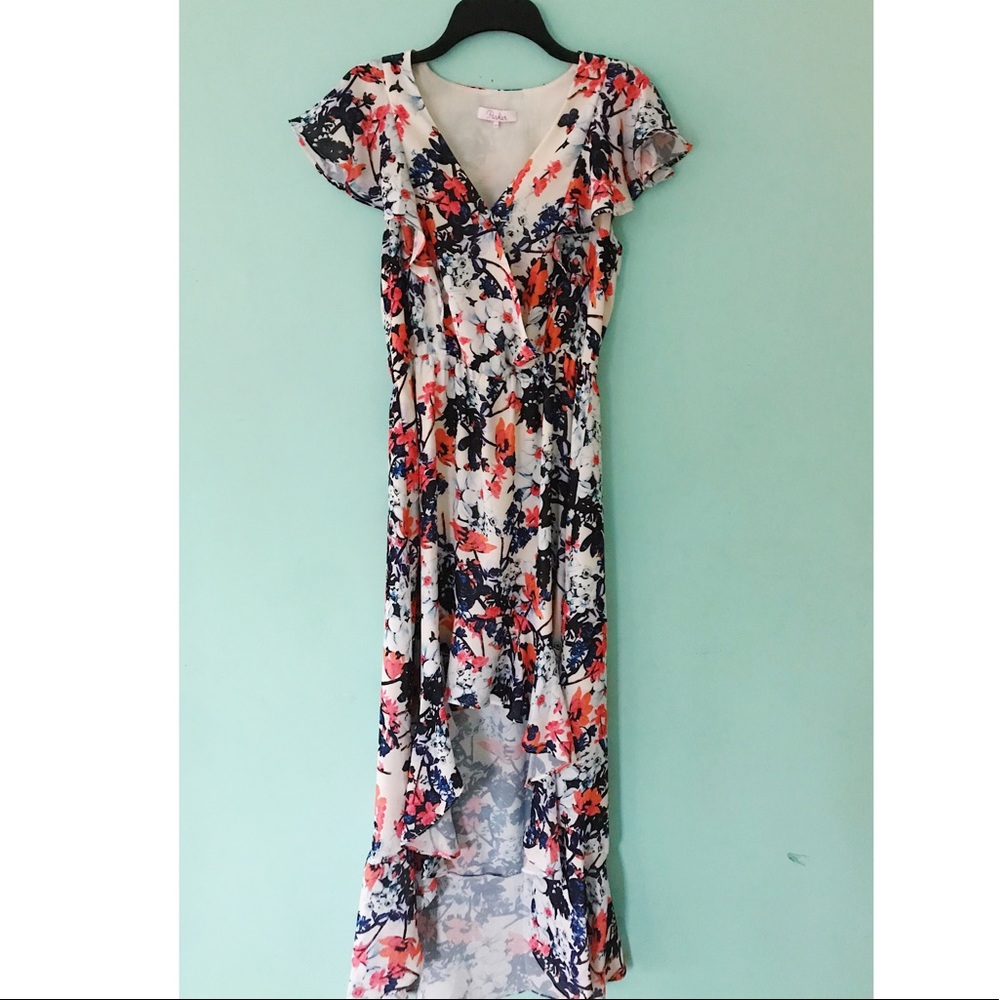NBW- Parker Designer Dress- Never Been Worn
